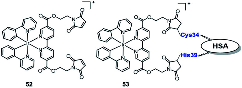 Fig. 27