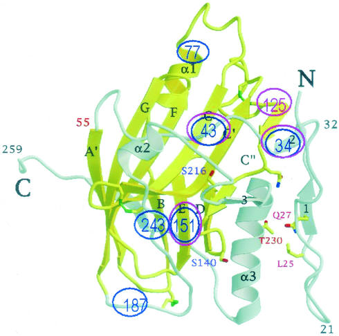 FIG. 5.