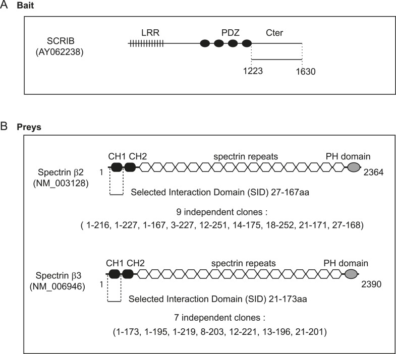 Figure 1—figure supplement 2.