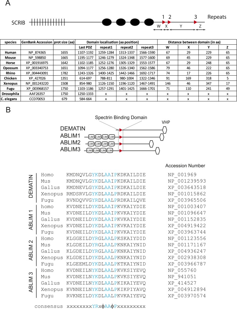 Figure 3—figure supplement 1.