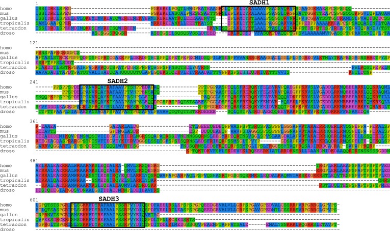 Figure 1—figure supplement 1.