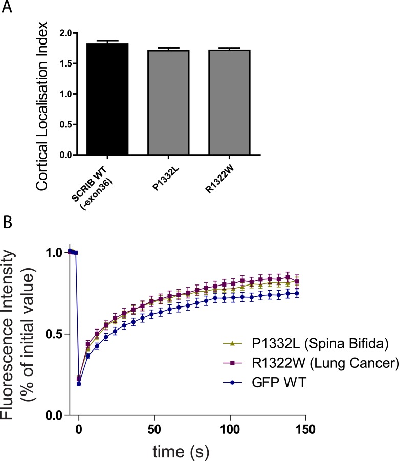 Figure 5—figure supplement 1.