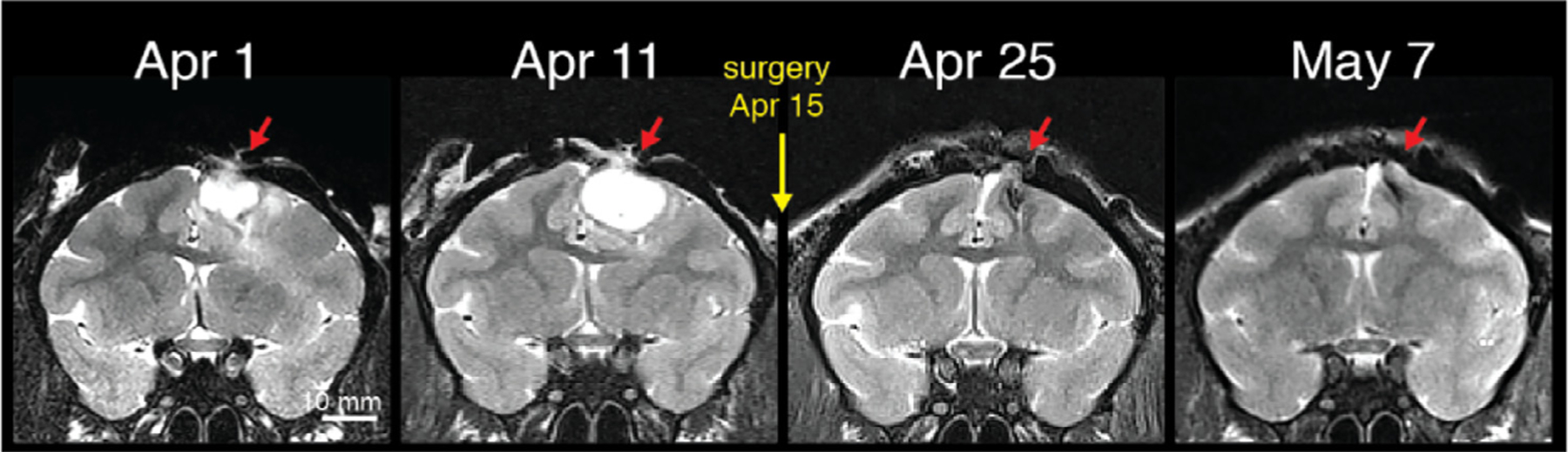 Fig. 17.