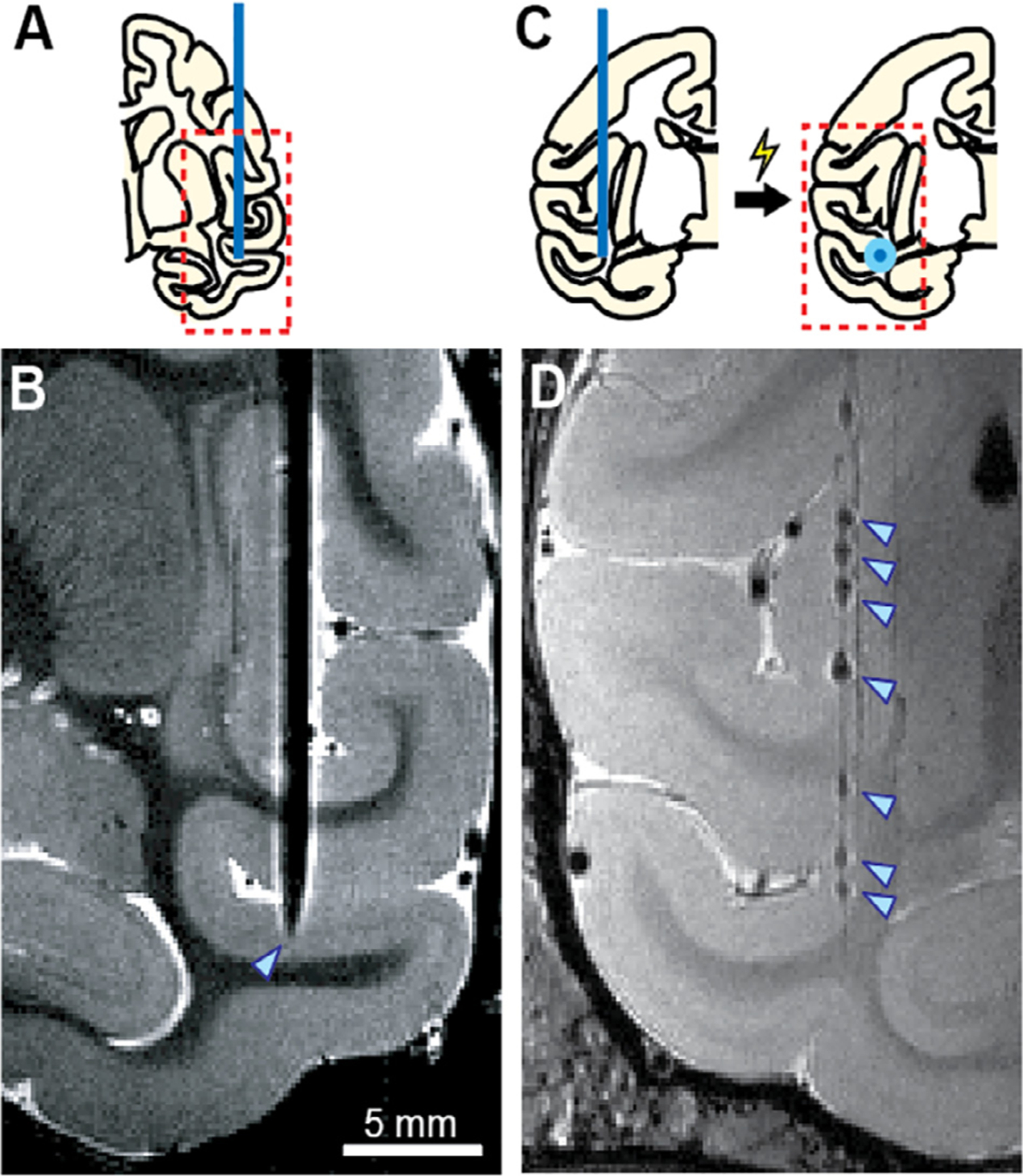 Fig. 13.