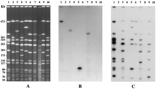 FIG. 1