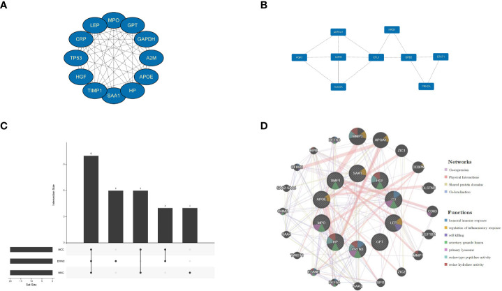 Figure 4