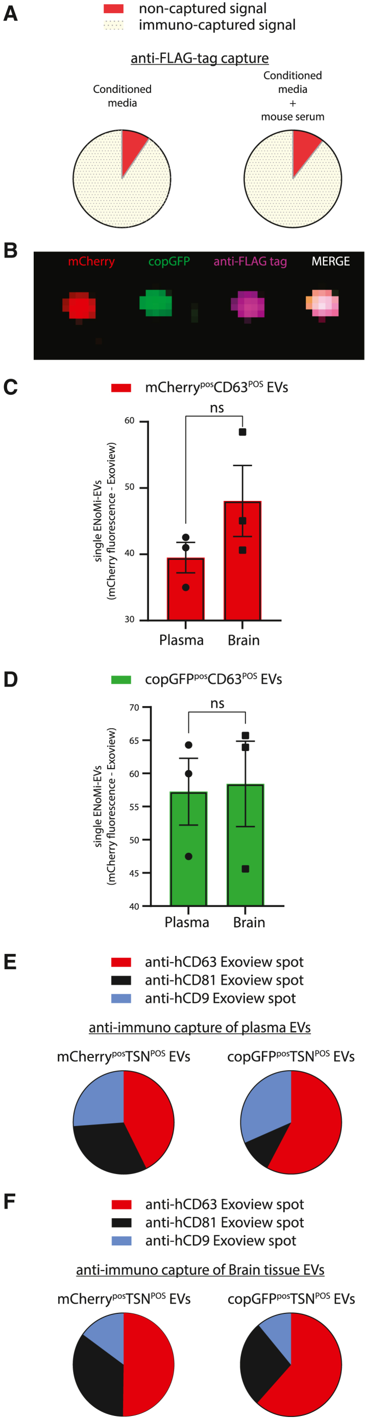 Figure 5