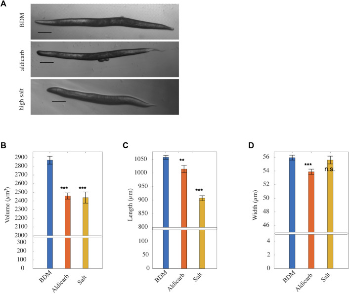 FIGURE 4