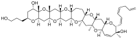 Figure 23