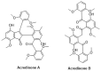 Figure 22