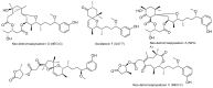 Figure 24