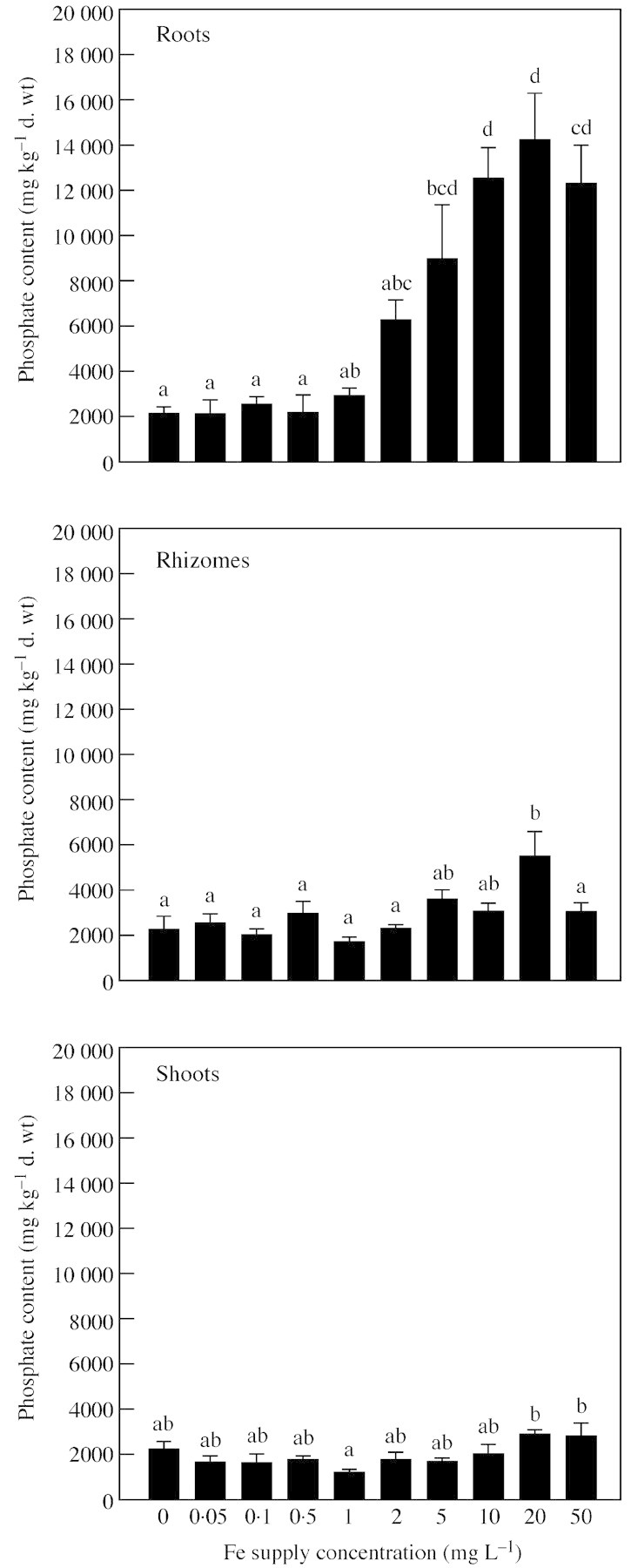 graphic file with name mcg205f2.jpg