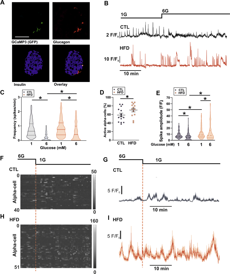 Figure 5