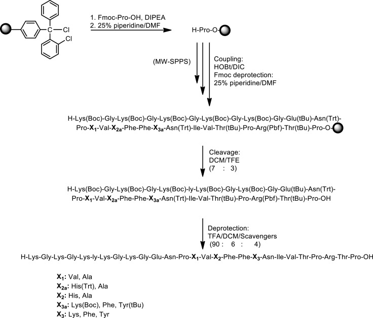 Scheme 1