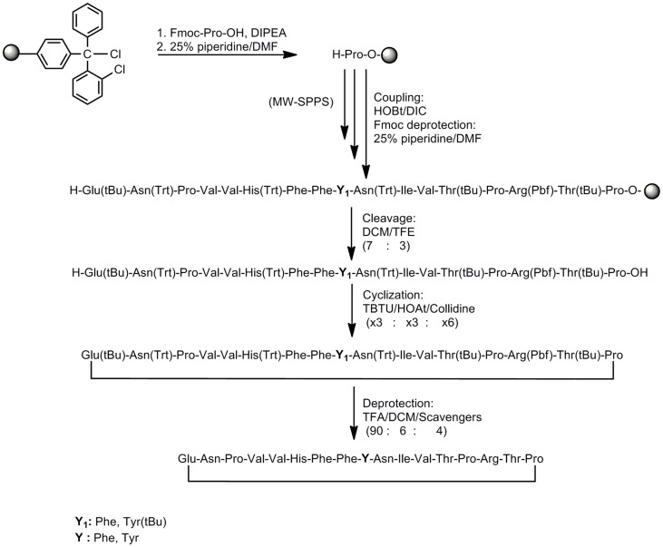 Scheme 2