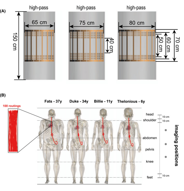 FIGURE 2