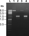 FIG. 2.