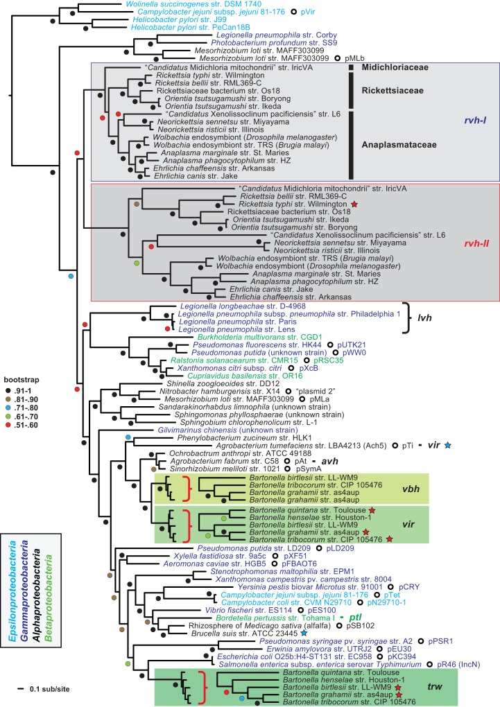 FIG 2 