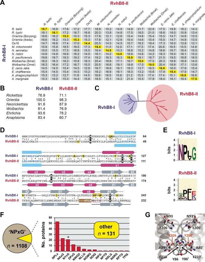 FIG 6 