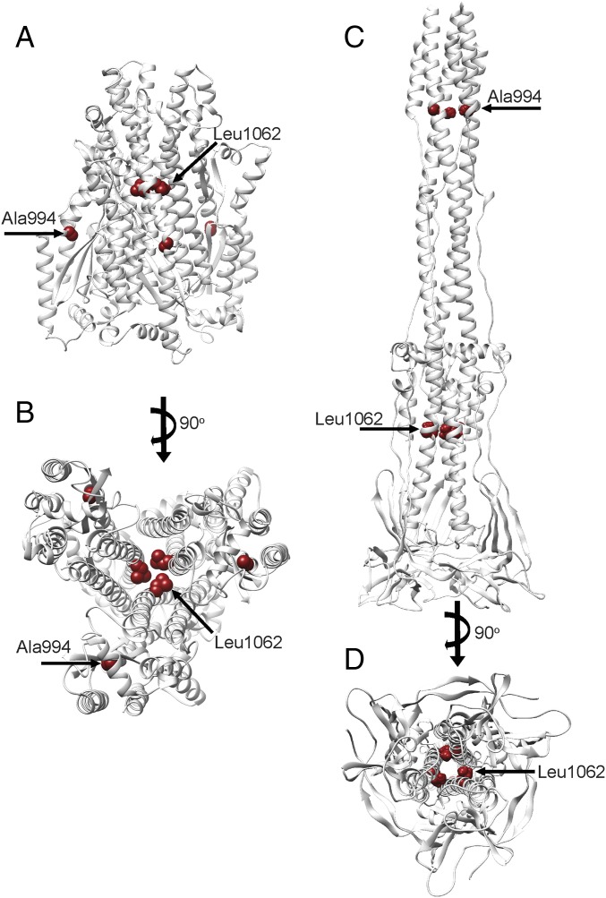 Fig. S5.