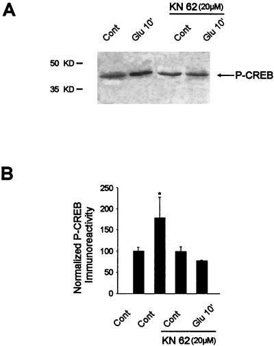 FIG. 8