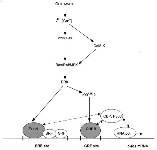 FIG. 9