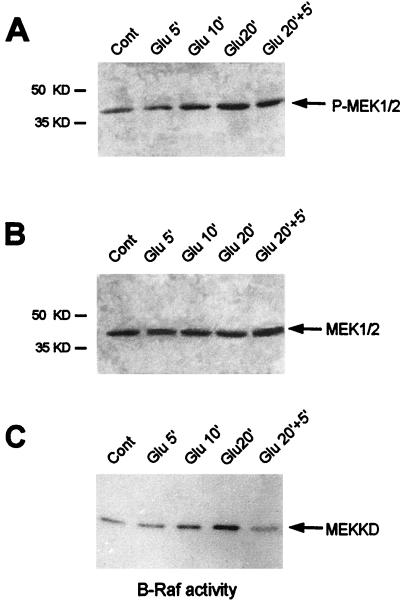 FIG. 6