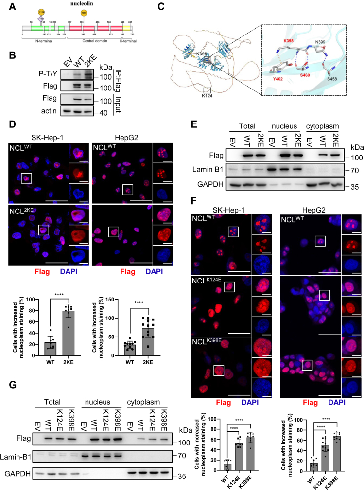 Figure 4