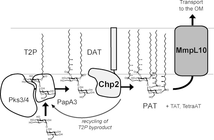 FIG 7