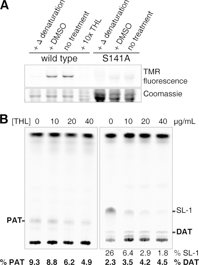 FIG 6