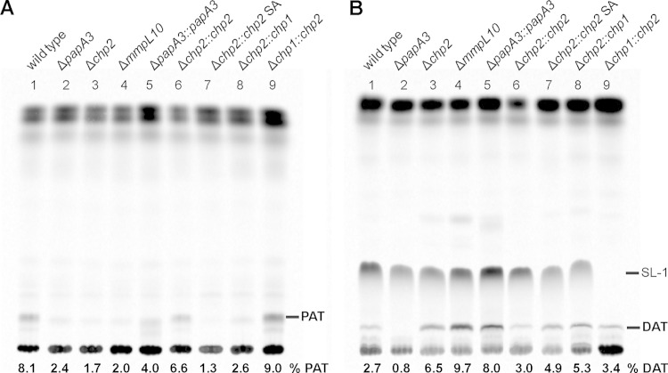 FIG 4