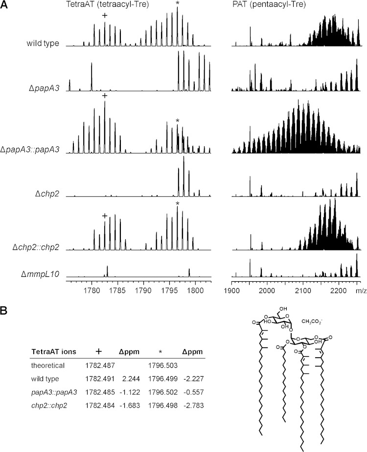 FIG 3