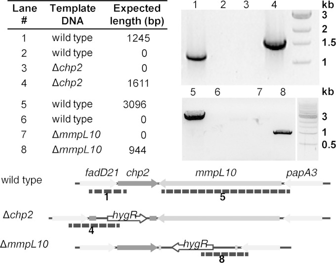 FIG 2