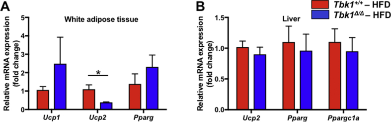 Supplementary Figure 2