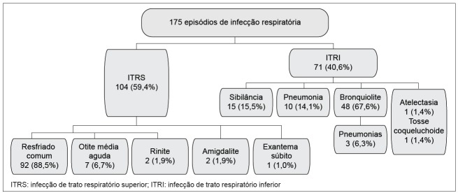 Figura 1