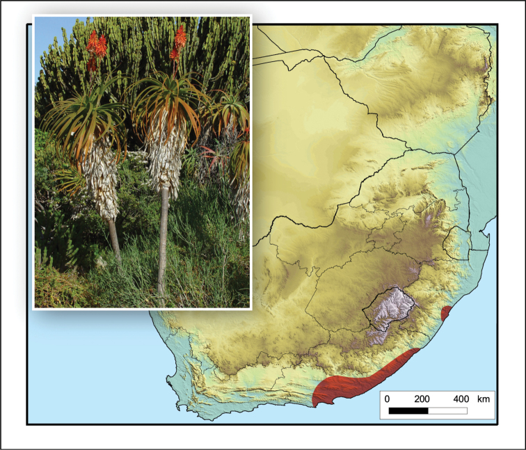 Figure 32.