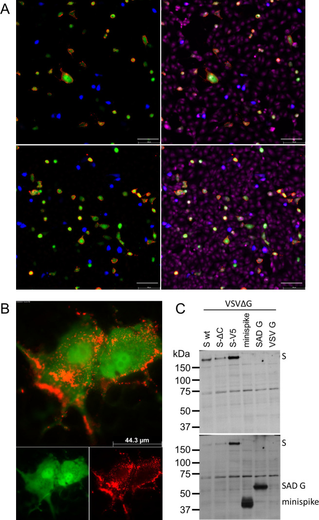 Fig 4