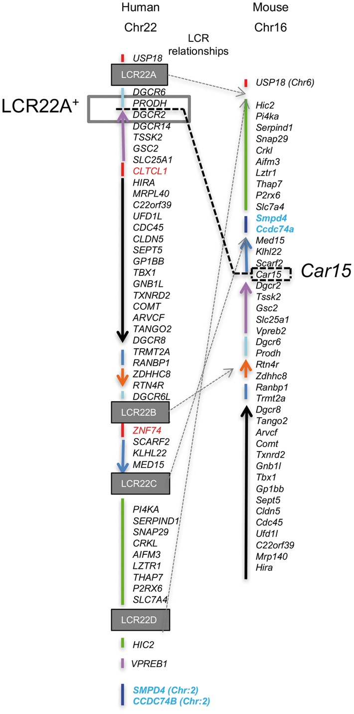 Figure 5.