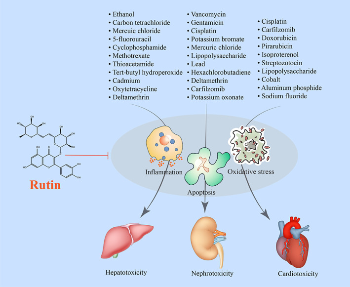 FIGURE 3