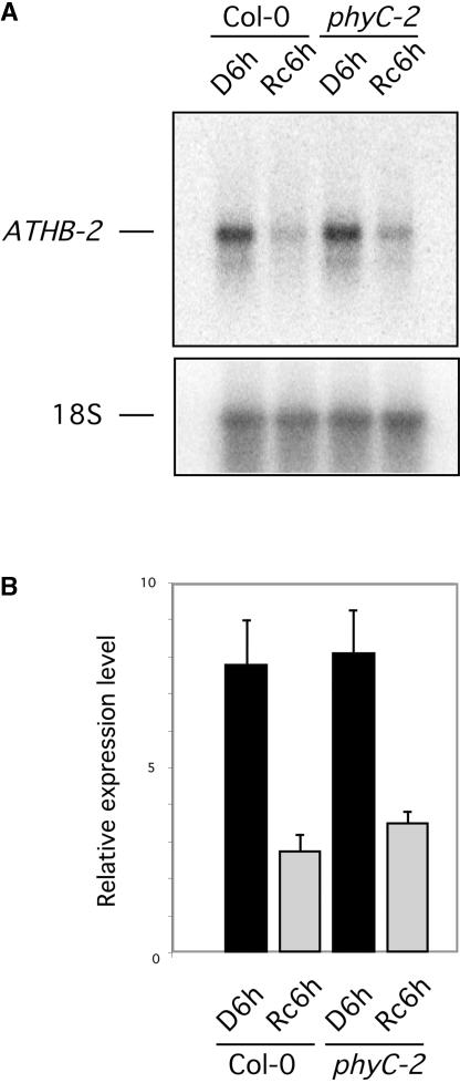 Figure 9.