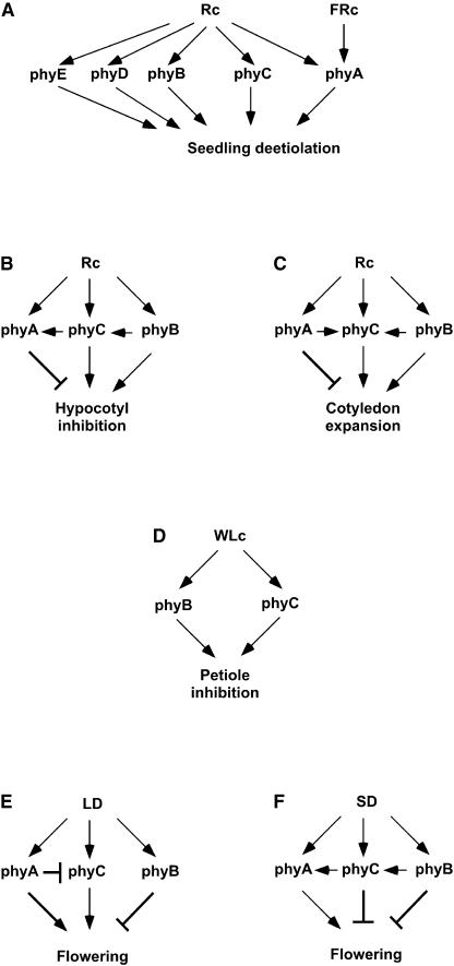 Figure 10.