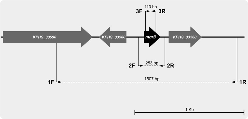 FIG 2