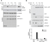 Figure 2—figure supplement 1.
