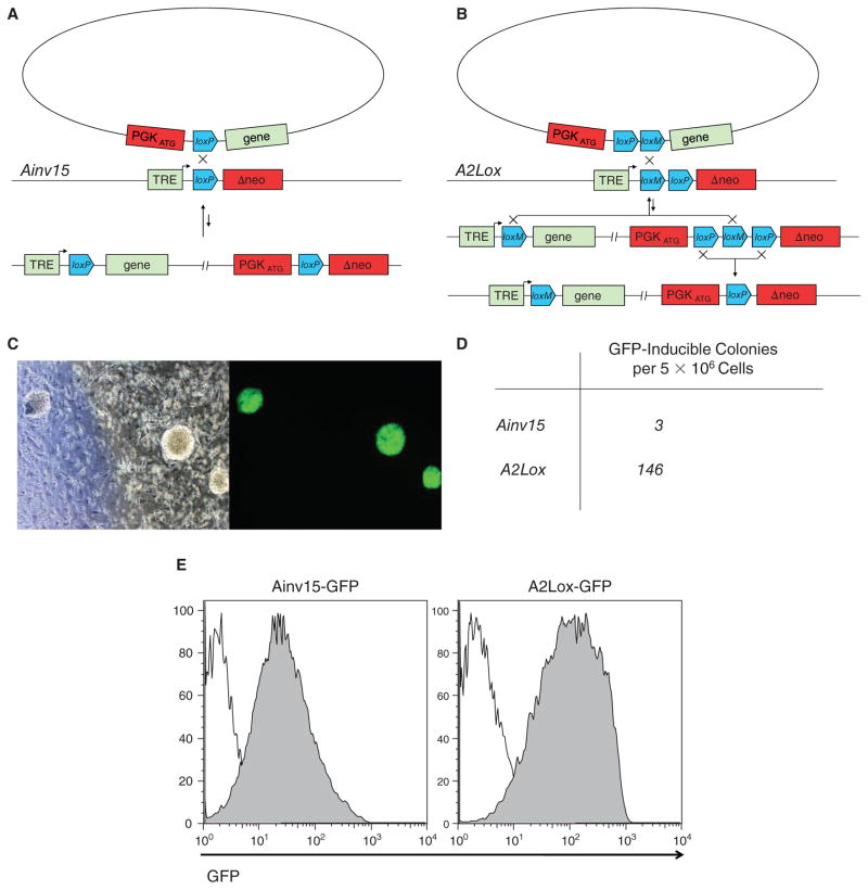 FIG. 2