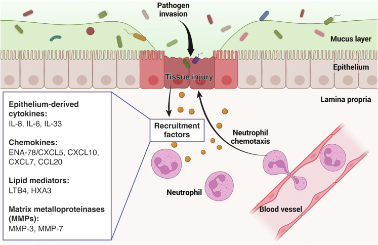 Figure 1