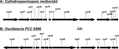 FIG. 2.