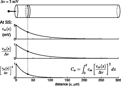 Fig. 2