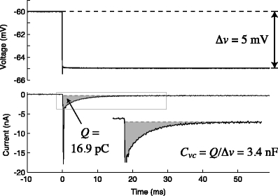 Fig. 1