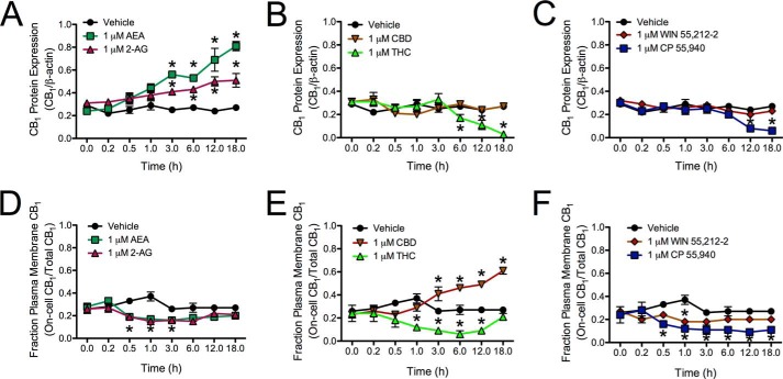 FIGURE 11.