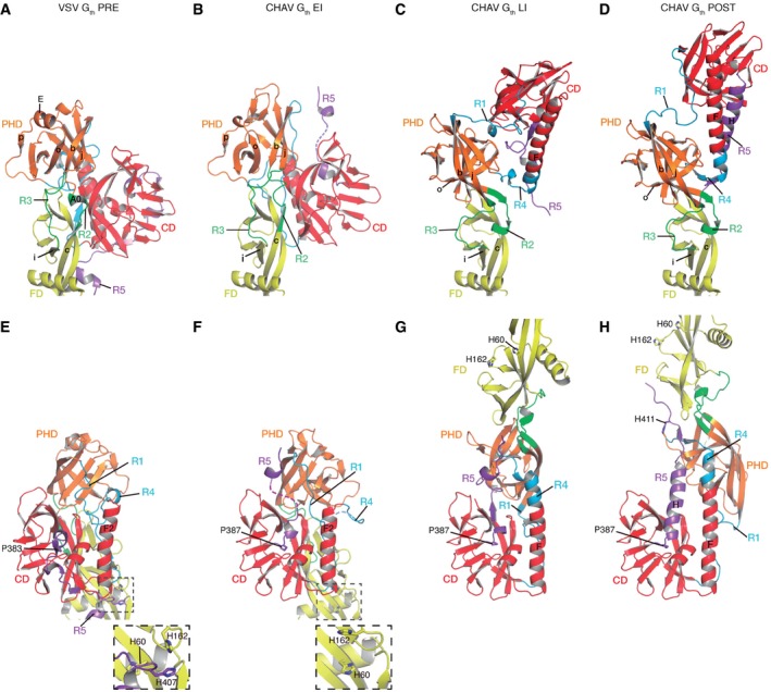 Figure 5